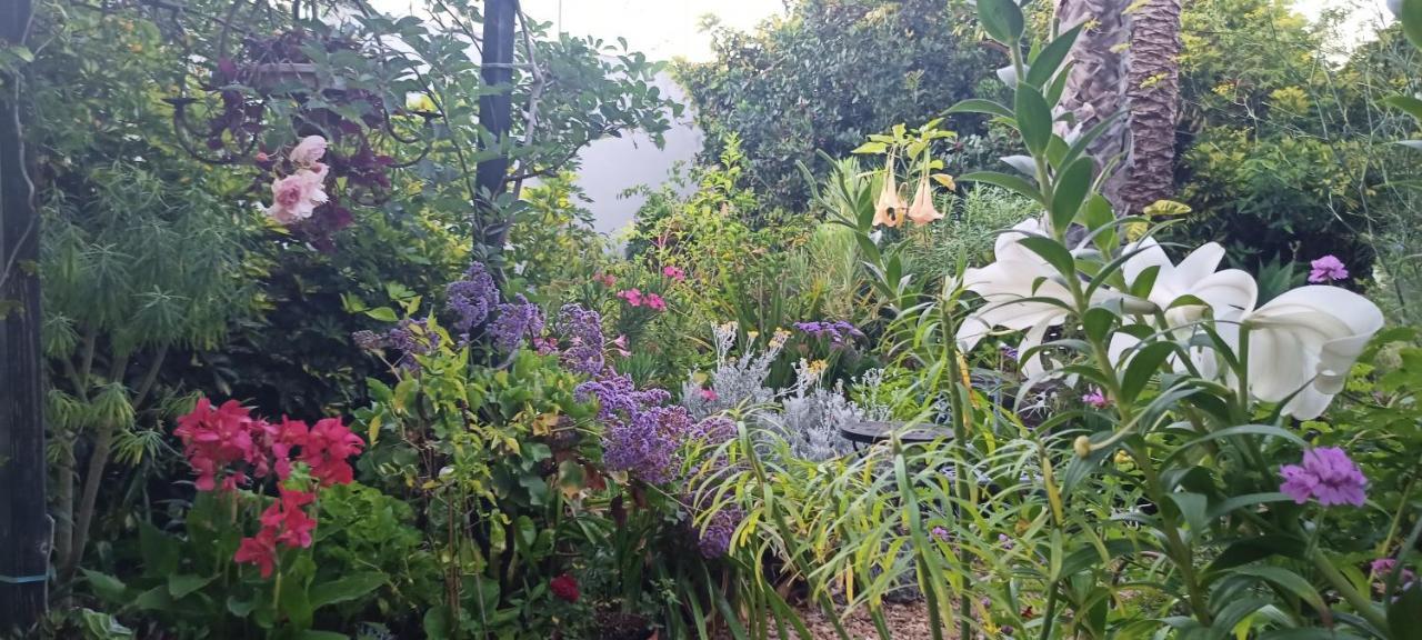 Casa Flora Garden Studio 사우살 외부 사진